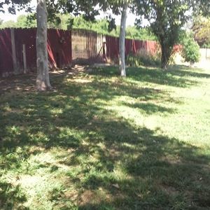 Meet your Posher, Missy